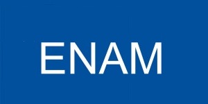 Enam PMS Logo